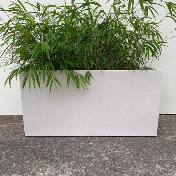 Bianca Planter Trough with leafy plant available from The Green Room