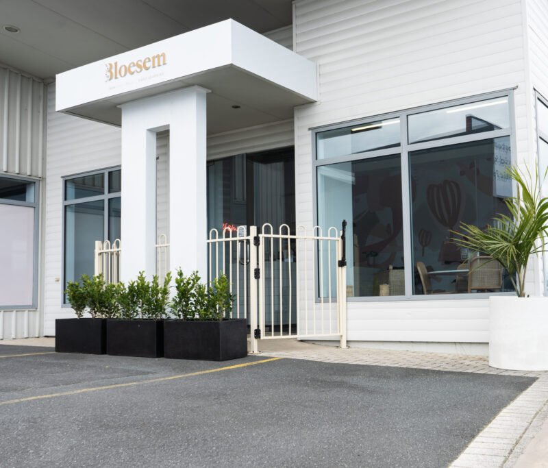 Hedging in Troughs - Commercial Long Term Plant Hire - The Green Room, Tauranga